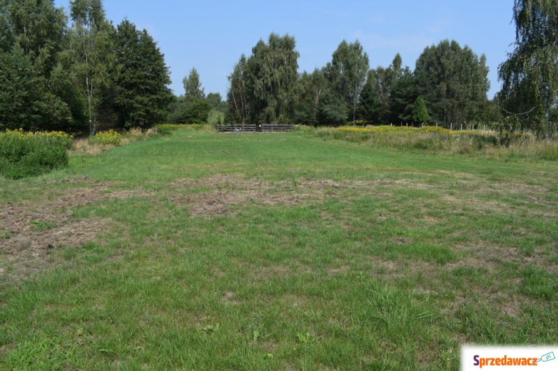 Działka budowlana Głogów Małopolski sprzedam, pow. 3200 m2  (32a)