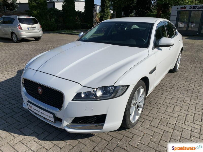 Jaguar XF 2.0d 241 KM - Samochody osobowe - Kraków