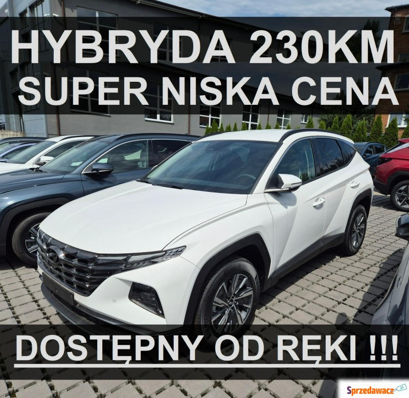 Hyundai Tucson  SUV 2024,  1.6 hybryda - Na sprzedaż za 153 200 zł - Szczecinek