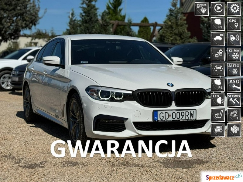 BMW 518 - PL Salon Serwis ASO FV23% - Samochody osobowe - Rumia