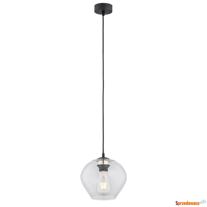 Argon Kalimera 4041 lampa wisząca zwis 1x15W E27... - Lampy wiszące, żyrandole - Wodzisław Śląski