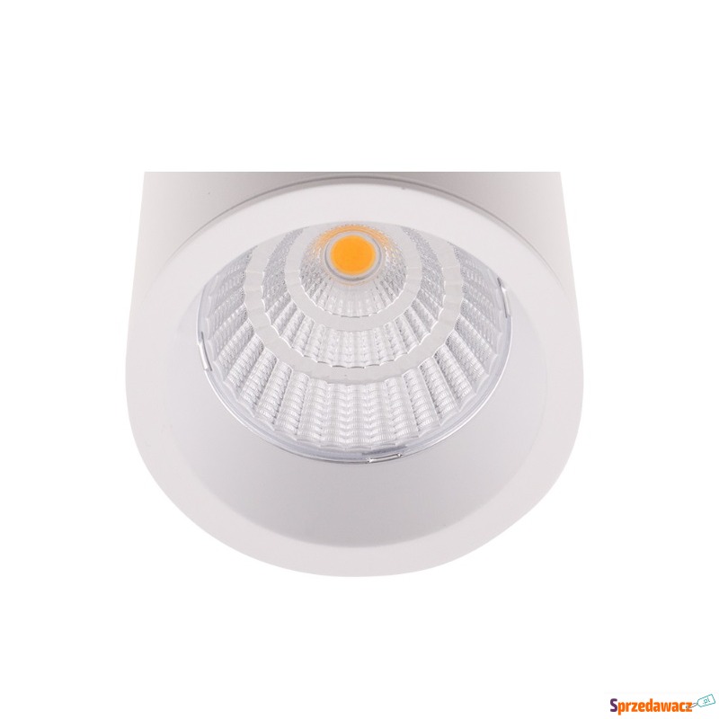 Maxlight Long RC0153/C0154 WHITE pierścień oz... - Pozostałe oświetlenie - Kołobrzeg