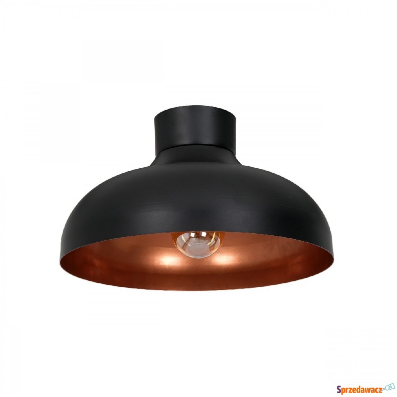 Luminex Basca 1734 plafon lampa sufitowa 1x60W... - Plafony - Opole