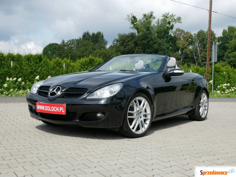 Mercedes - Benz SLK-klasa  Kabriolet 2007,  3.0 benzyna+LPG - Na sprzedaż za 52 900 zł - Goczałkowice-Zdrój