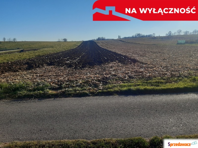 Działka Wojnicz sprzedam, pow. 2900 m2  (29a)