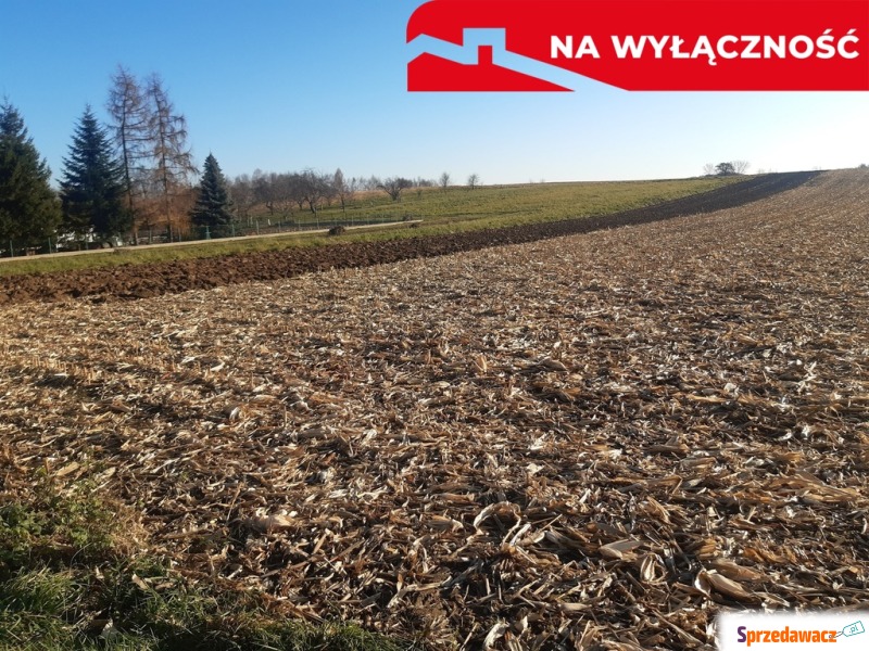 Działka Wojnicz sprzedam, pow. 2900 m2  (29a)