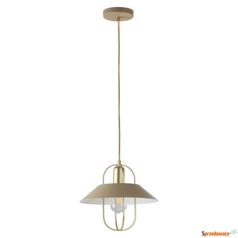 Rabalux Nesrin 3519 lampa wisząca zwis 1x40W E27... - Lampy wiszące, żyrandole - Wodzisław Śląski