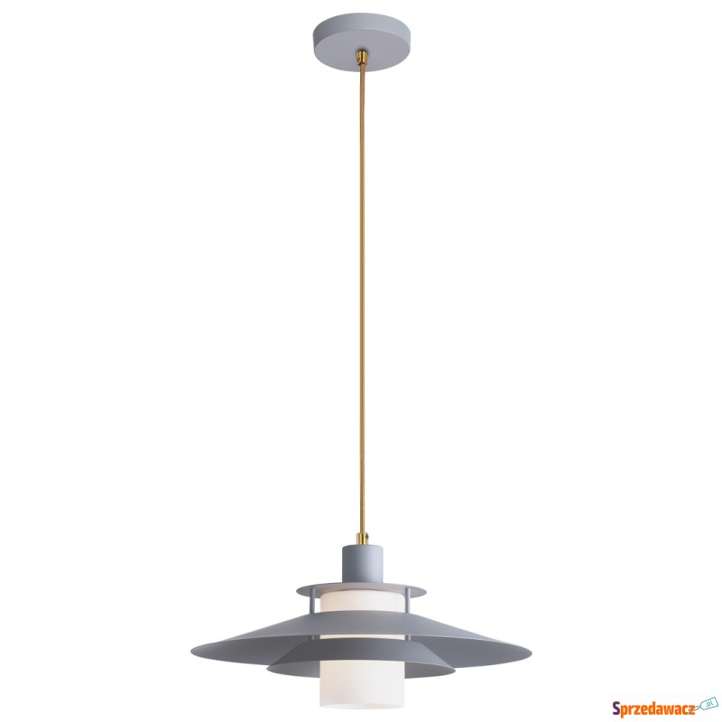 Rabalux Cameron 4313 lampa wisząca zwis 1x40W... - Lampy wiszące, żyrandole - Przemyśl