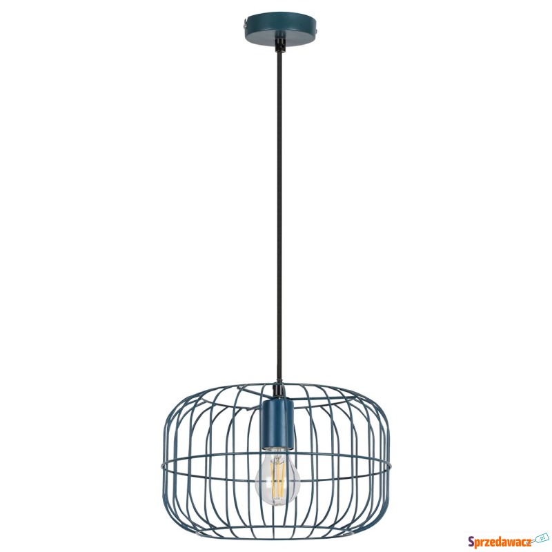 Rabalux Xenia 4919 lampa wisząca zwis 1x60W E27... - Lampy wiszące, żyrandole - Sieradz