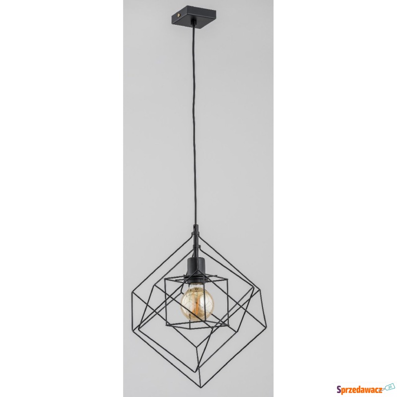 Alfa Conti 60735 lampa wisząca zwis 1x60W E27... - Lampy wiszące, żyrandole - Wrocław