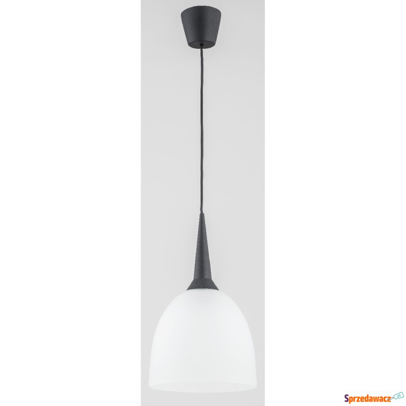 Alfa Unino 60629 lampa wisząca zwis 1x60W E27... - Lampy wiszące, żyrandole - Kielce