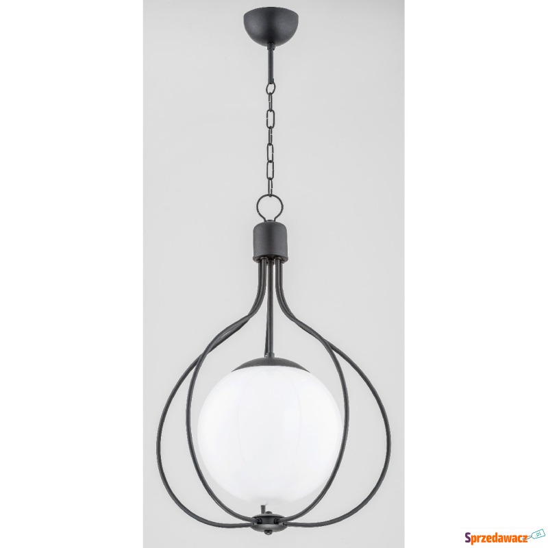 Alfa Remi 60668.40 lampa wisząca zwis 1x60W E27... - Lampy wiszące, żyrandole - Inowrocław