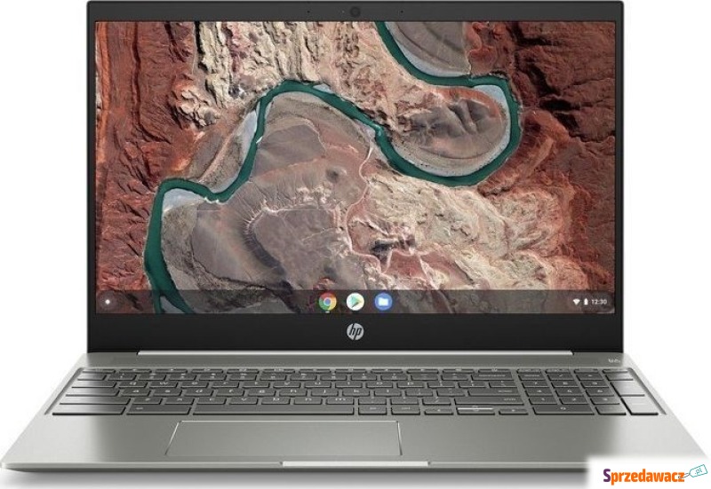 Laptop HP Chromebook 15-de0002na (6QB08EAR) - Laptopy - Białystok