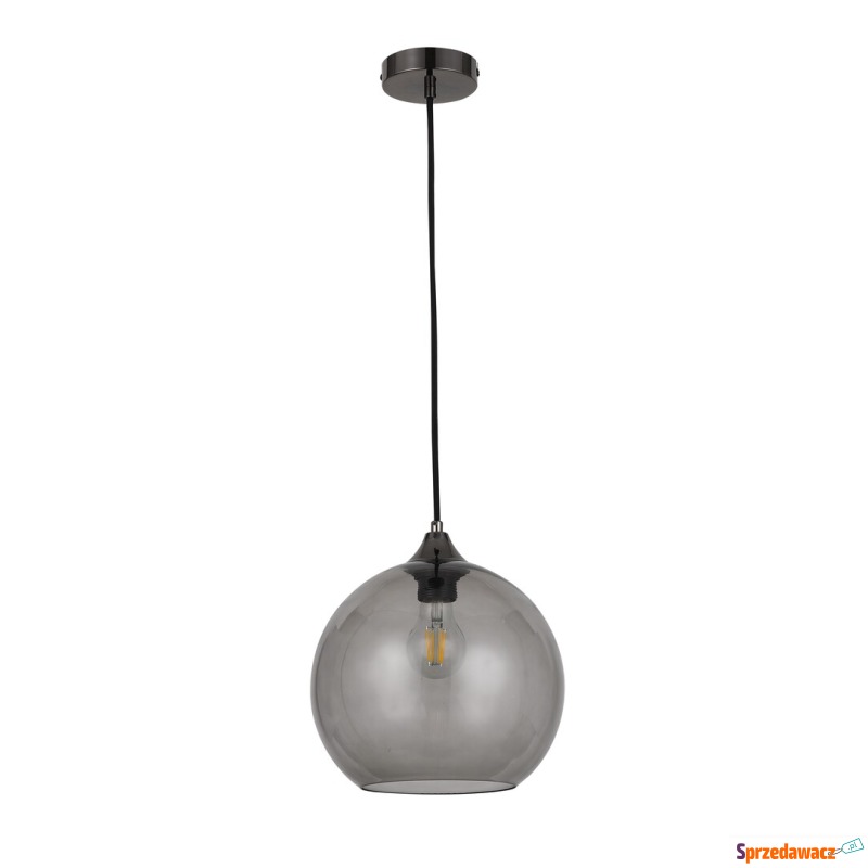 Rabalux Tanesha 6438 lampa wisząca zwis 1x40W... - Lampy wiszące, żyrandole - Bydgoszcz