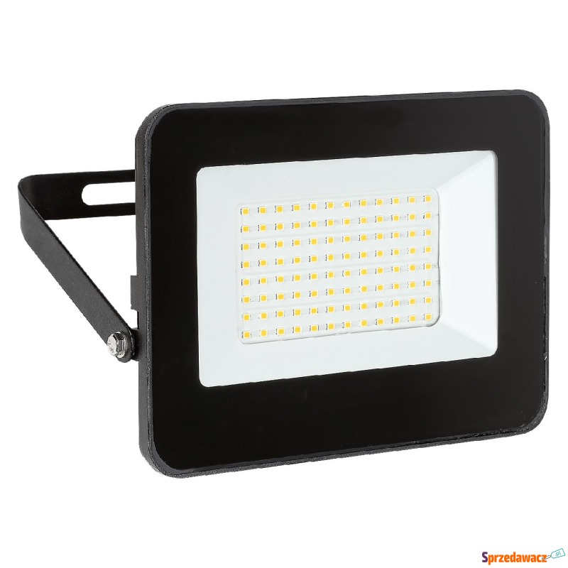 Rabalux Flood 7065 reflektor 1x50W LED 4000K... - Pozostałe el. oświetlenia - Wałbrzych