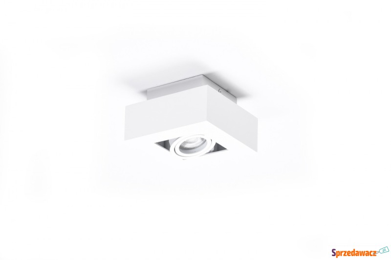 Azzardo Nikea 1 AZ4431 plafon lampa sufitowa 1x50W... - Plafony - Szczecin