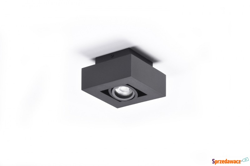 Azzardo Nikea 1 AZ4432 plafon lampa sufitowa 1x50W... - Plafony - Konin