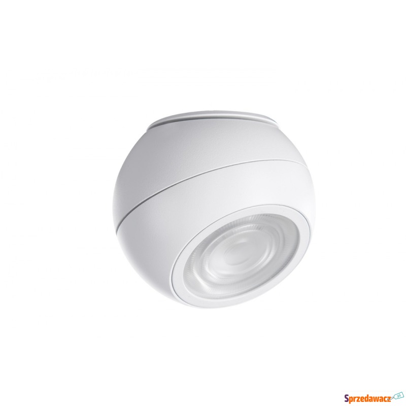 Azzardo Skye AZ4517 reflektor 1x12W LED 3000K... - Pozostałe oświetlenie - Olsztyn