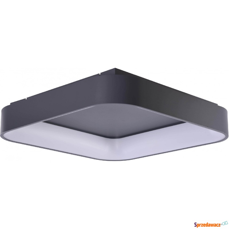 Azzardo Solvent S 60 AZ4007 plafon lampa sufitowa... - Plafony - Szczecinek