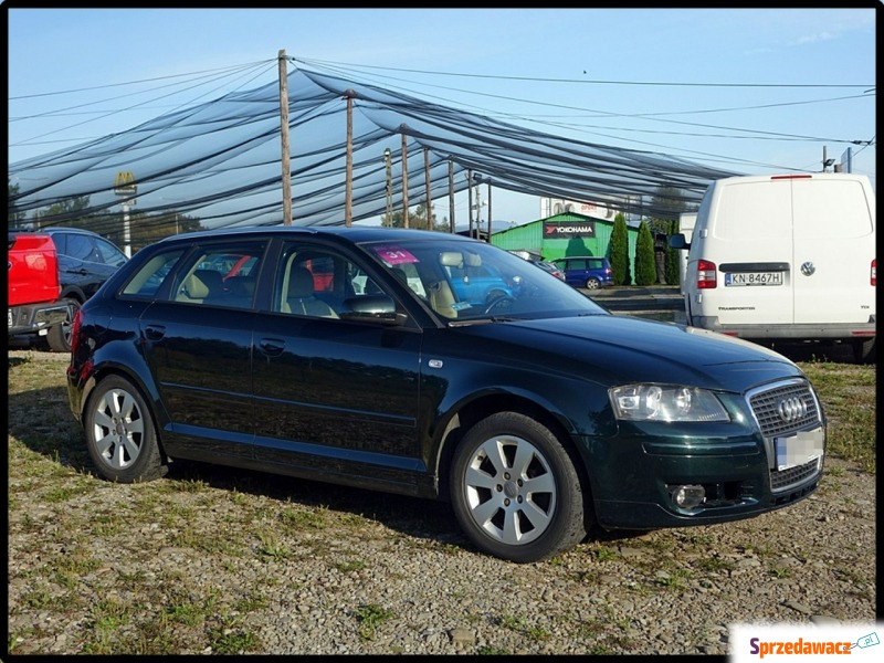 Audi A3  Hatchback 2007,  2.0 diesel - Na sprzedaż za 20 900 zł - Nowy Sącz