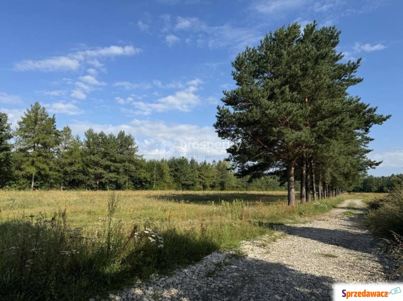 Działka budowlana Piskórka sprzedam, pow. 1000 m2  (10a)