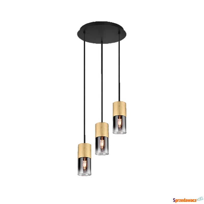 Trio Robin 310630354 lampa wisząca zwis 3x28W... - Lampy wiszące, żyrandole - Piotrków Trybunalski