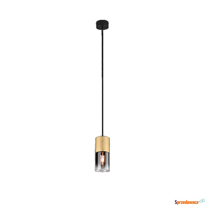 Trio Robin 310600154 lampa wisząca zwis 1x28W... - Lampy wiszące, żyrandole - Płock