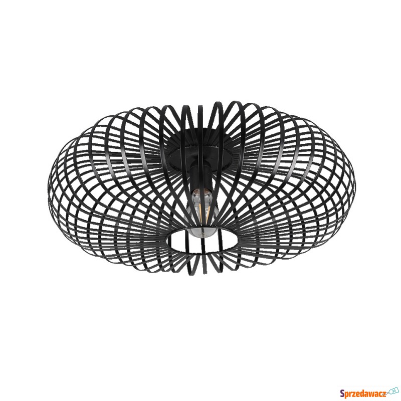 Trio Johann 606905032 plafon lampa sufitowa 1x60W... - Plafony - Grudziądz