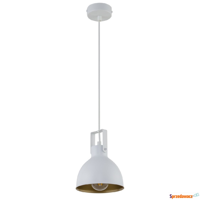 Sigma Mars 32257 lampa wisząca zwis 1x60W E27... - Lampy wiszące, żyrandole - Chojnice