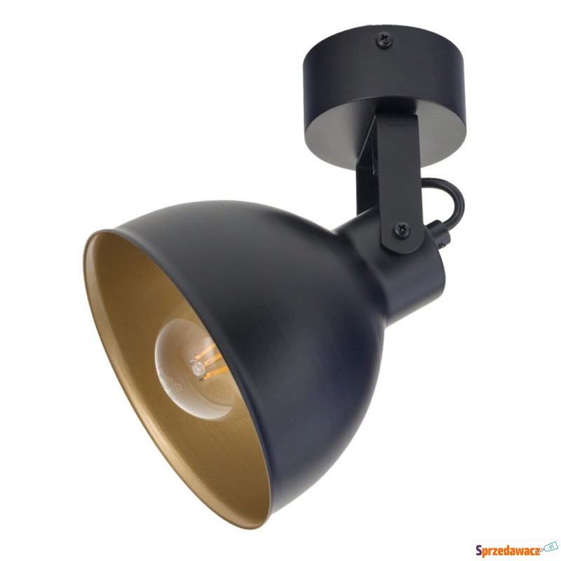 Sigma Mars 32266 plafon lampa sufitowa 1x60W E27... - Plafony - Wodzisław Śląski