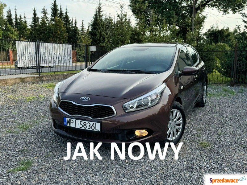 Kia Ceed 1.4 benzyna, piękny kolor, stan wzorowy. - Samochody osobowe - Gołków