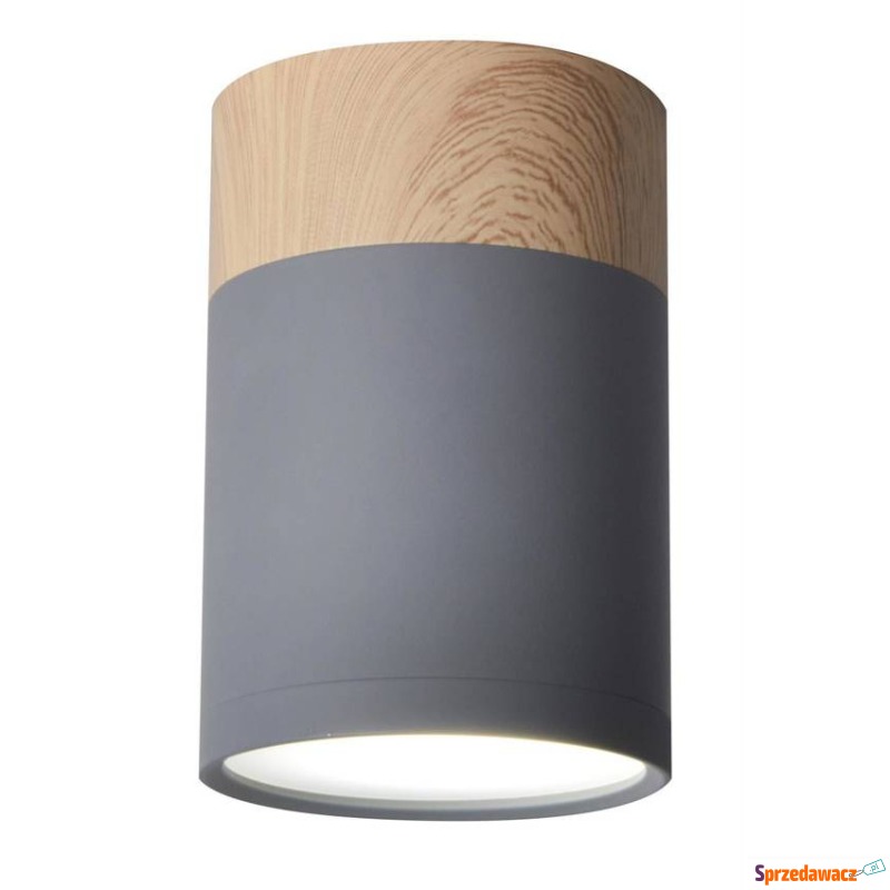 Candellux Tuba 2284262 spot lampa sufitowa oprawa... - Pozostałe oświetlenie - Radom