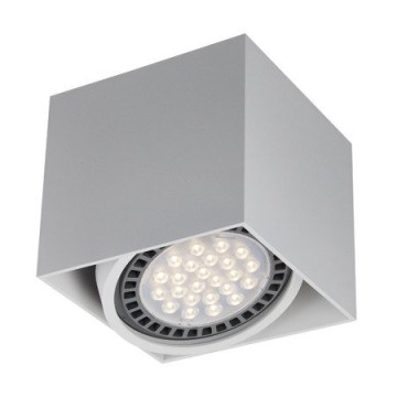 Zuma Line Box 1 ACGU10-114-N spot lampa sufitowa 1x15W GU10 szary