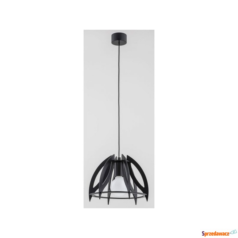 Alfa Haga 60903 lampa wisząca zwis 1x60W E27 czarna - Lampy wiszące, żyrandole - Bytom