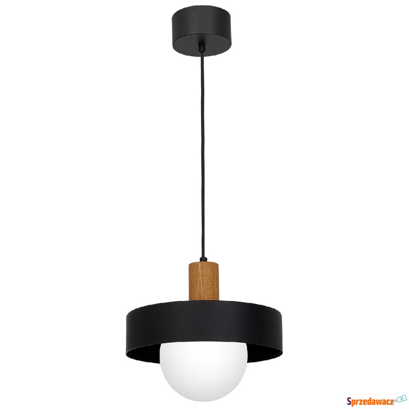 Luminex Canan 4049 lampa wisząca zwis 1x60W E27... - Lampy wiszące, żyrandole - Kalisz