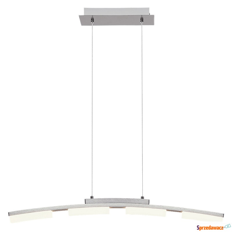 Rabalux Eucalyptus 2957 lampa wisząca zwis 1x20W... - Lampy wiszące, żyrandole - Lublin