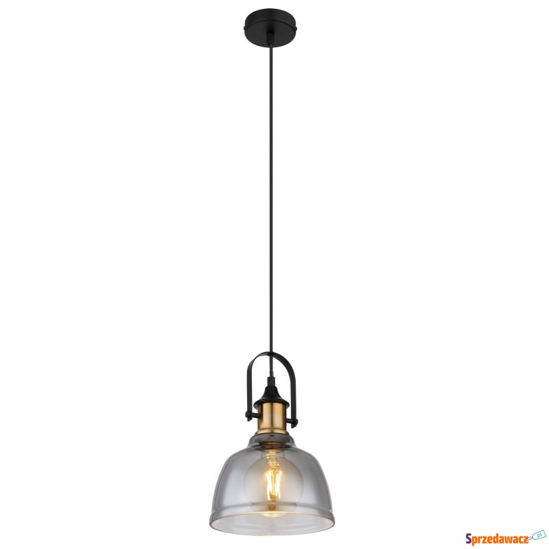 Globo Dorothea 15558H lampa wisząca zwis 1x60W... - Lampy wiszące, żyrandole - Konin