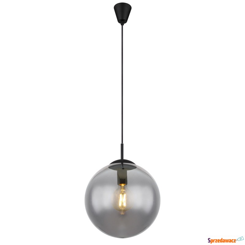 Globo Joel 1582S lampa wisząca zwis 1x60W E27... - Lampy wiszące, żyrandole - Toruń