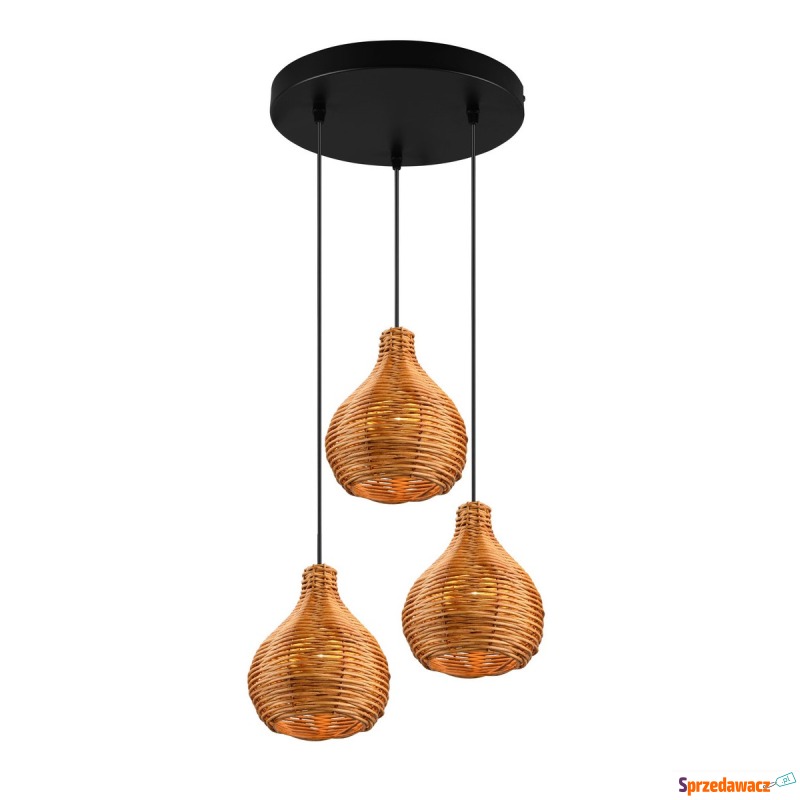 Trio Rl Sprout R31293336 lampa wisząca zwis 3x40W... - Lampy wiszące, żyrandole - Kielce