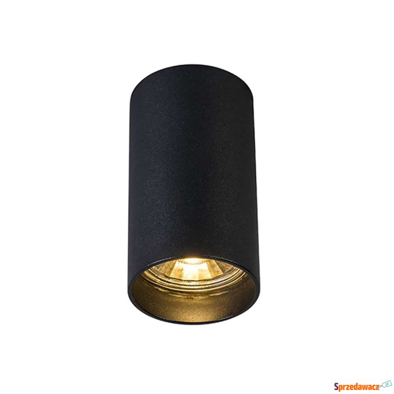 Zuma Line Tuba SL 1 92680-N spot lampa sufitowa... - Pozostałe oświetlenie - Szczecinek