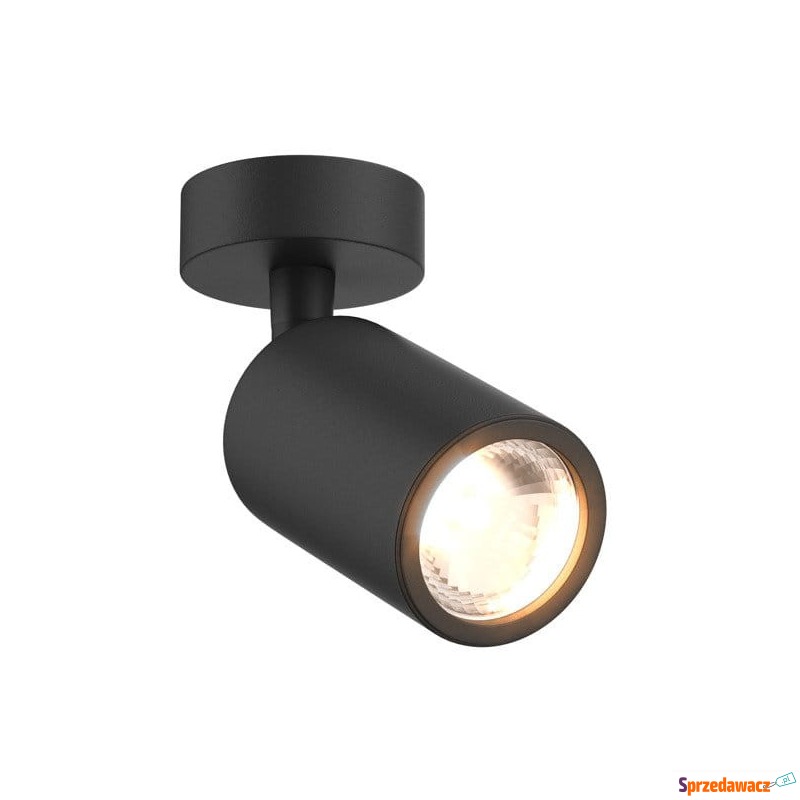 Zuma Line Tori SL 20016-BK-N reflektor lampa... - Pozostałe oświetlenie - Płock