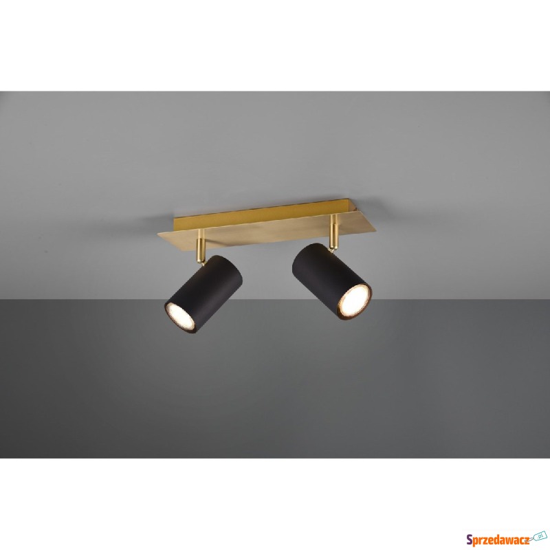 Trio Marley 802400280 plafon lampa sufitowa 2x35W... - Plafony - Gdynia