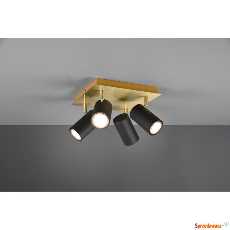 Trio Marley 802430480 plafon lampa sufitowa 4x35W... - Plafony - Knurów