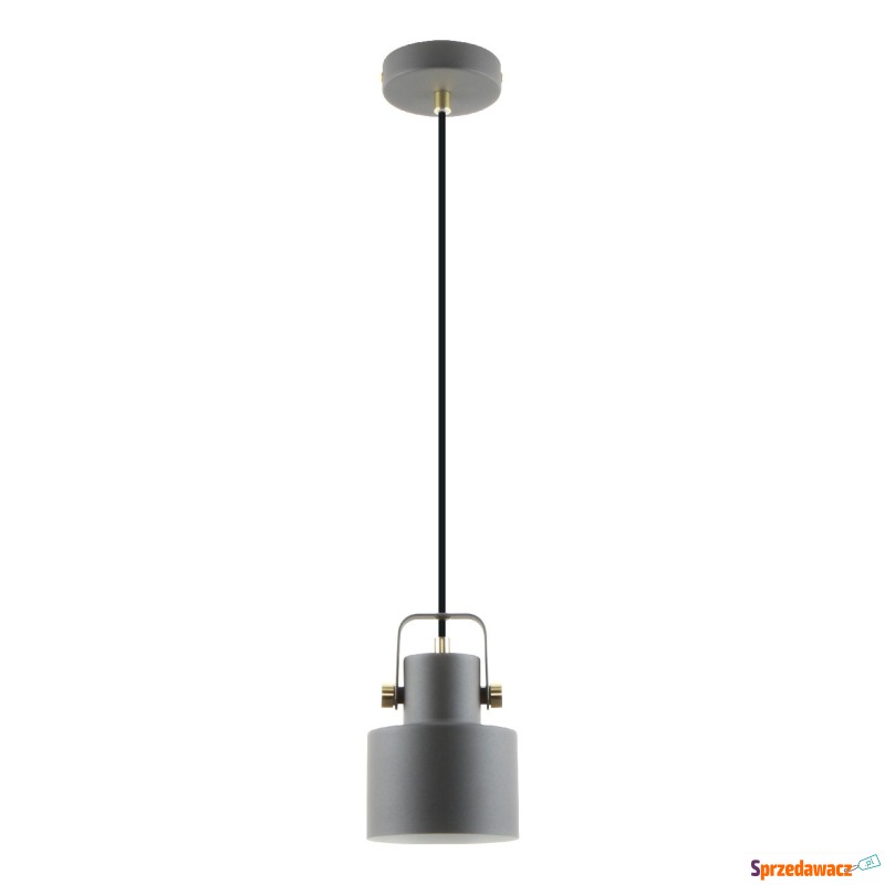 Zuma Line Draco A8062-1 lampa wisząca zwis 1x40W... - Lampy wiszące, żyrandole - Ludomy