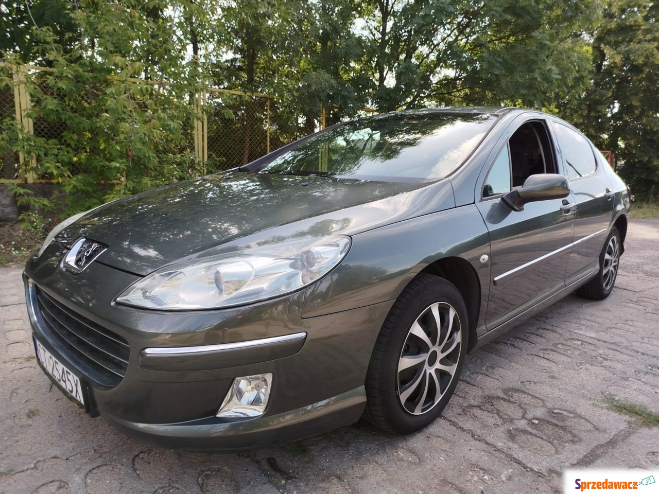 Peugeot 407 2007