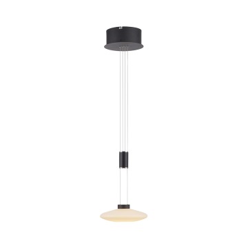 Zuma Line Lautada 2080-18 lampa wisząca zwis 1x9,5W LED 3000K czarna