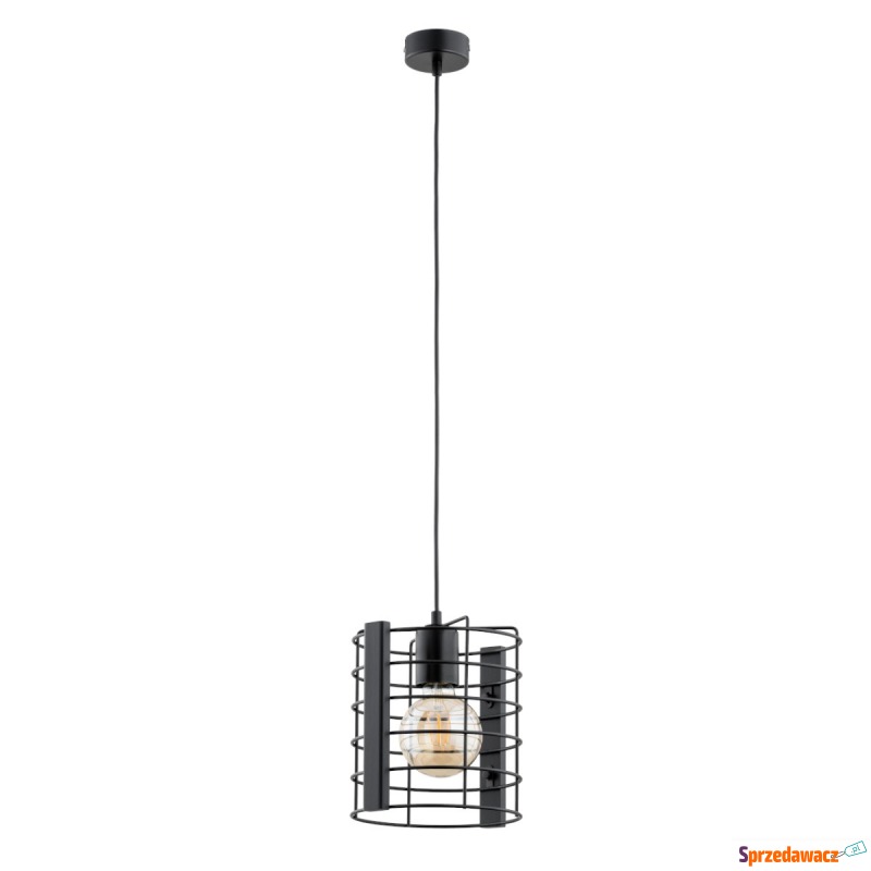 Alfa Lantan 61121.40_53 lampa wisząca zwis 1x60W... - Lampy wiszące, żyrandole - Zgorzelec