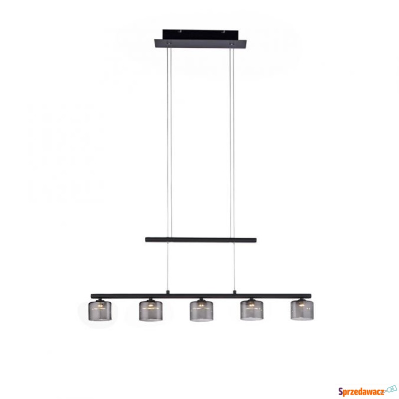 Zuma Line Hydra 2209-18 lampa wisząca zwis 5x23W... - Lampy wiszące, żyrandole - Przemyśl