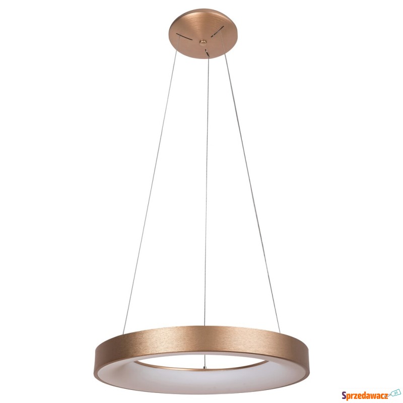 Rabalux Carmella 5054 lampa wisząca zwis 1x50W... - Lampy wiszące, żyrandole - Kutno