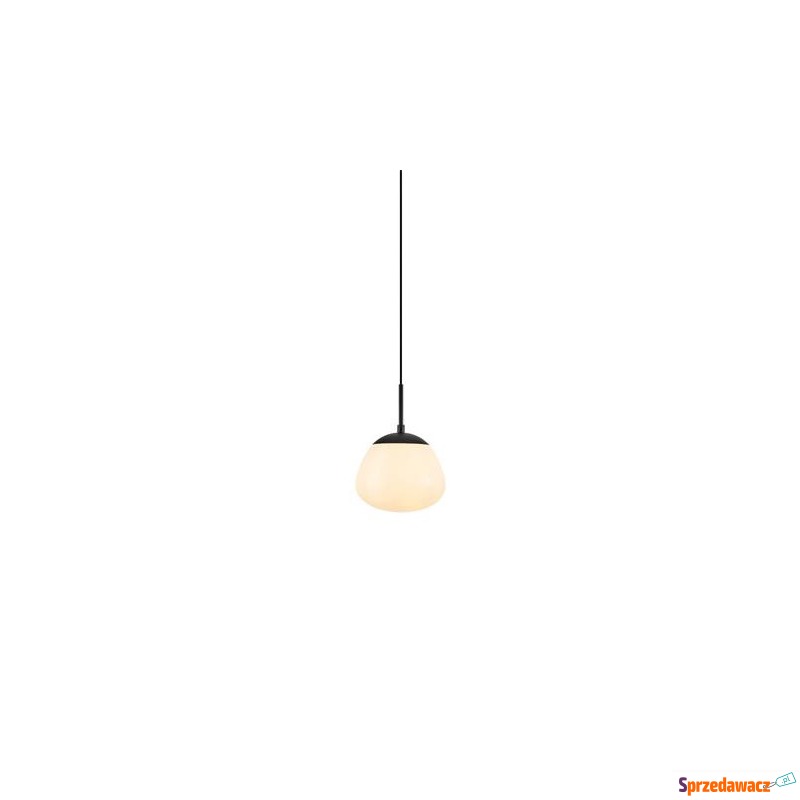 Markslojd Rise 108547 lampa wisząca zwis 1x40W... - Lampy wiszące, żyrandole - Koszalin